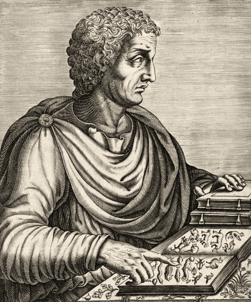 Drawing of Pliny the Elder